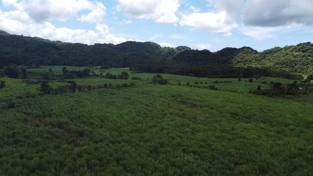 Fifth image of Kings Valley in Grange Hill, Westmoreland, Jamaica - property is For Sale
