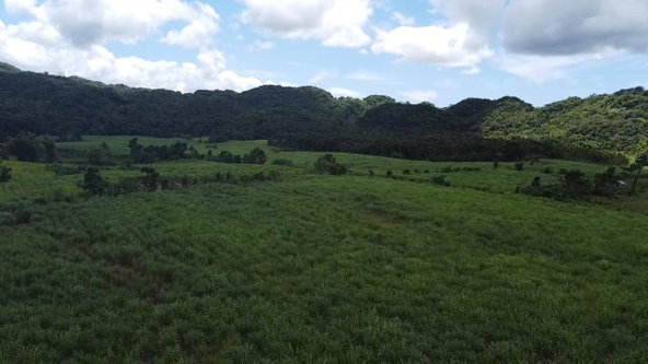 Fifth image of Kings Valley in Grange Hill, Westmoreland, Jamaica - property is For Sale
