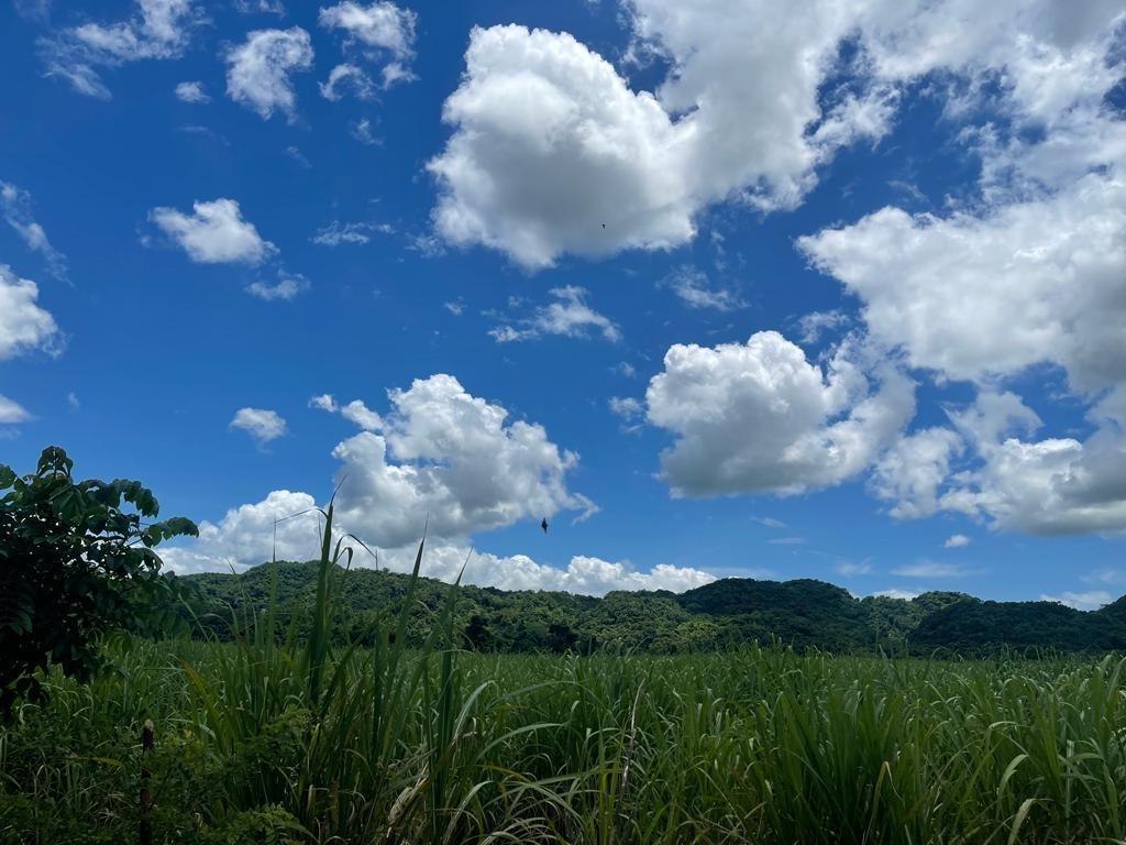 Sixth image of Kings Valley in Grange Hill, Westmoreland, Jamaica - property is For Sale
