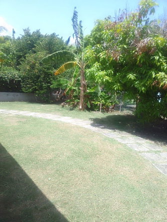Seventeenth image of Lot 290-allamanda Richmond St. Ann in Richmond, St. Ann, Jamaica - property is For Sale