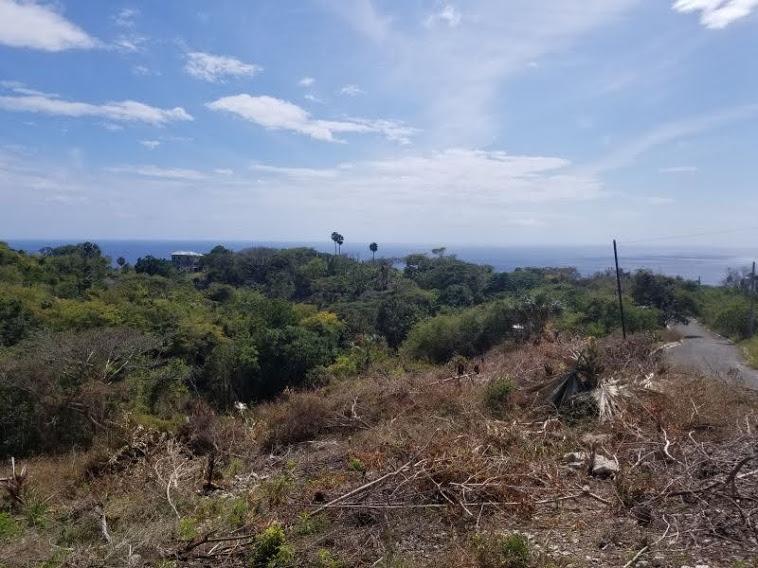 Fourth image of 371 Seaview Road Culloden in White House WD, Westmoreland, Jamaica - property is For Sale