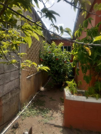 Ninth image of 14 Martello Drive in Kingston 17, St. Andrew, Jamaica - property is For Sale