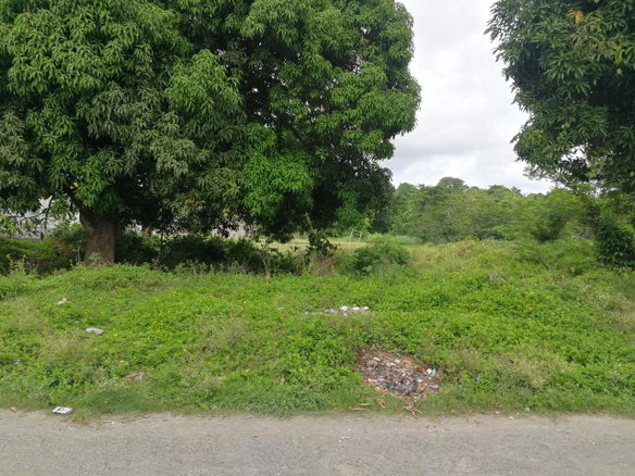 First image of 5 Curtis Bottom Road in Port Morant, St. Thomas, Jamaica - property is For Sale