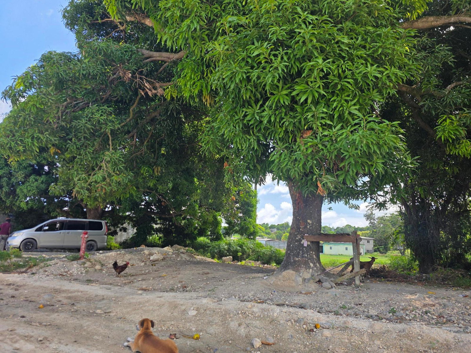 Third image of 5 Curtis Bottom Road in Port Morant, St. Thomas, Jamaica - property is For Sale