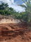 First image of 26 Forest Glade Drive in Ocean Ridge, St. Mary, Jamaica - property is For Sale