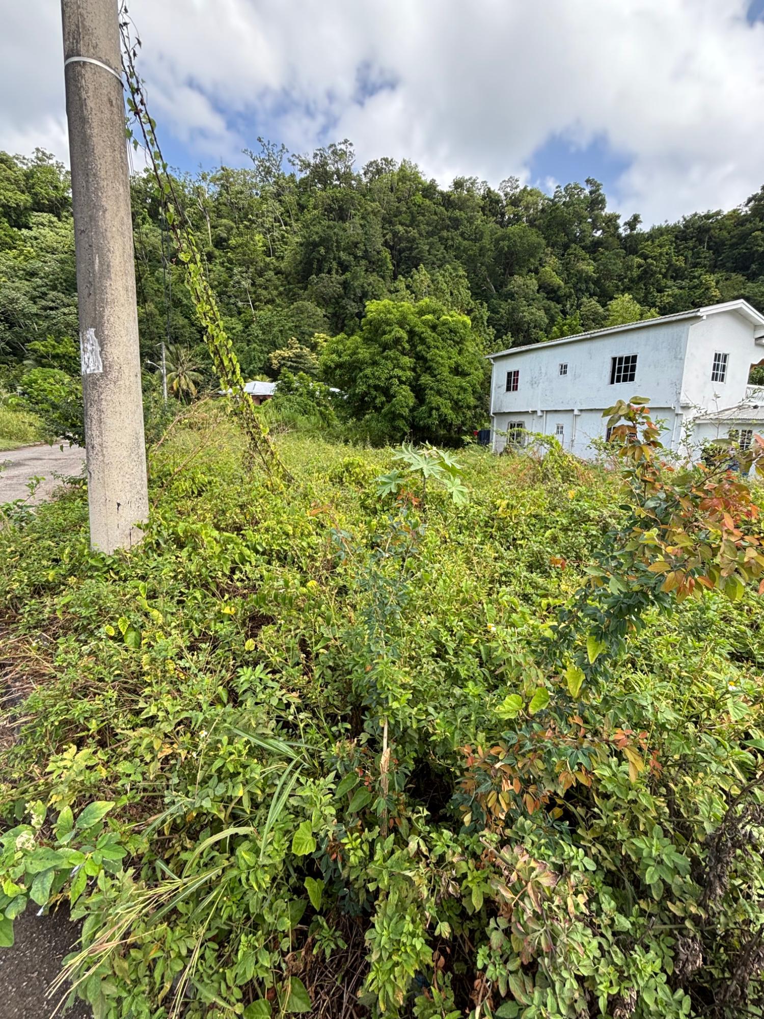 First image of 75 Woodstock Housing Scheme in Buff Bay, Portland, Jamaica - property is For Sale