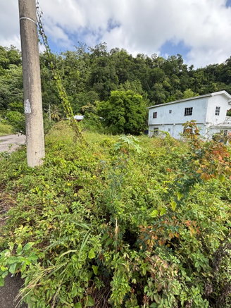 First image of 75 Woodstock Housing Scheme in Buff Bay, Portland, Jamaica - property is For Sale