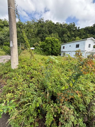 First image of 75 Woodstock Housing Scheme in Buff Bay, Portland, Jamaica - property is For Sale