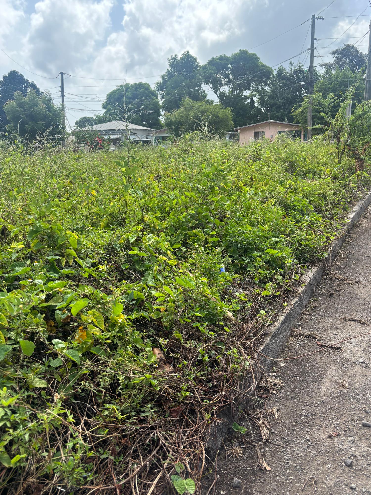 Second image of 75 Woodstock Housing Scheme in Buff Bay, Portland, Jamaica - property is For Sale