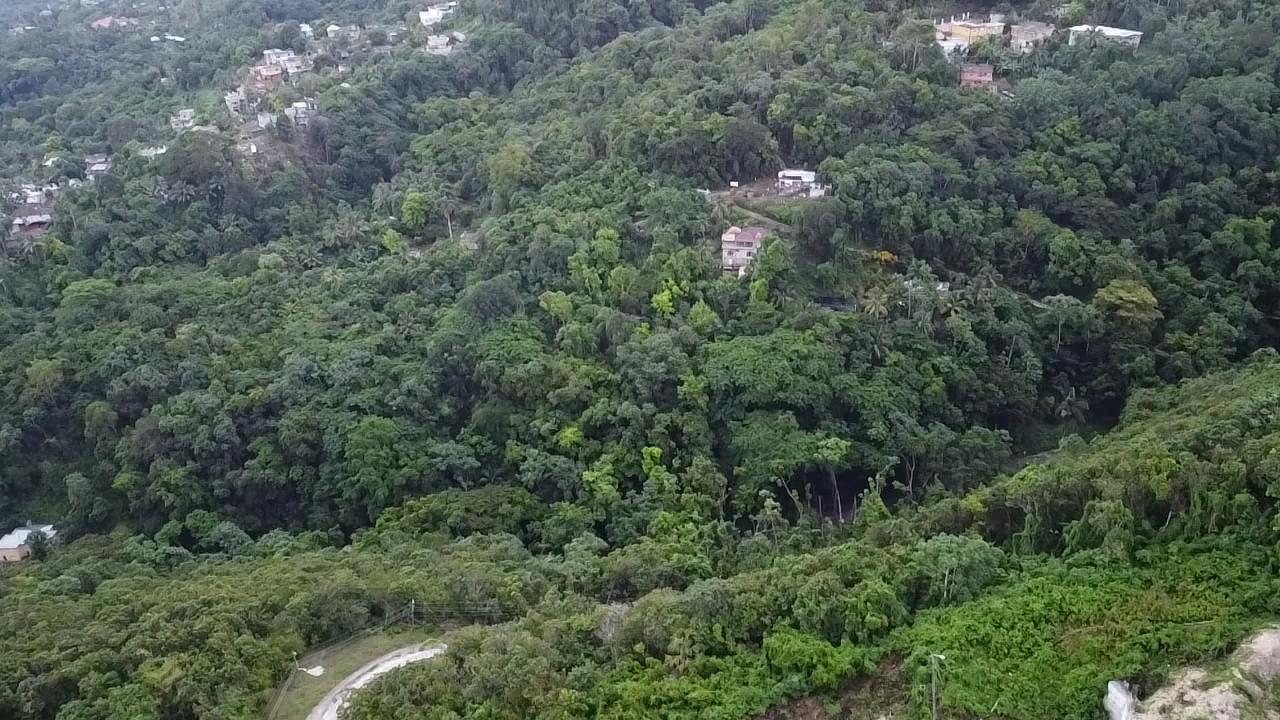 Seventeenth image of Lot 4 Clarridge Hall in Spring Garden, St. James, Jamaica - property is For Sale