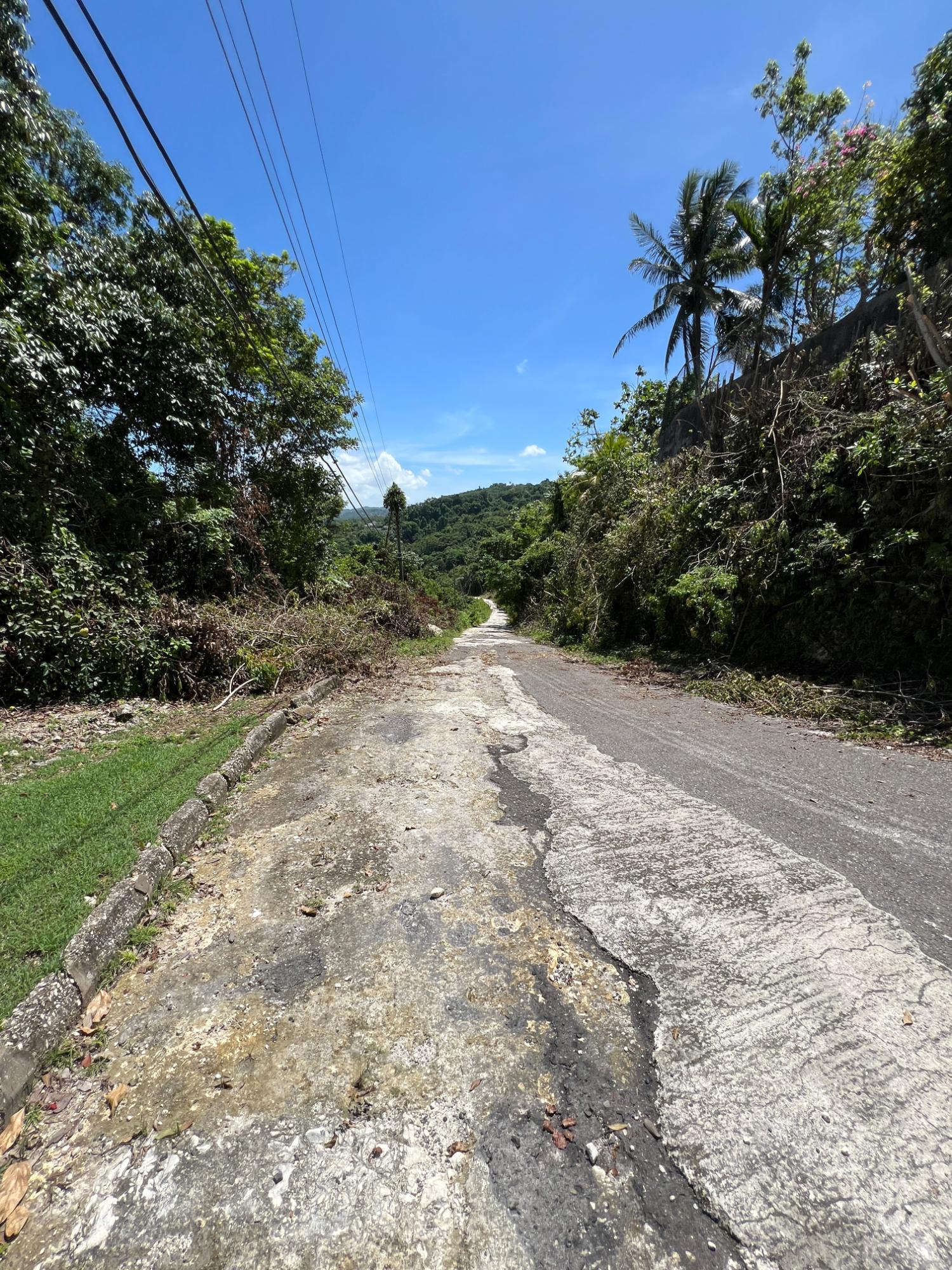 Twenty-Fourth image of Lot 22 Clarridge Hall in Spring Garden, St. James, Jamaica - property is For Sale