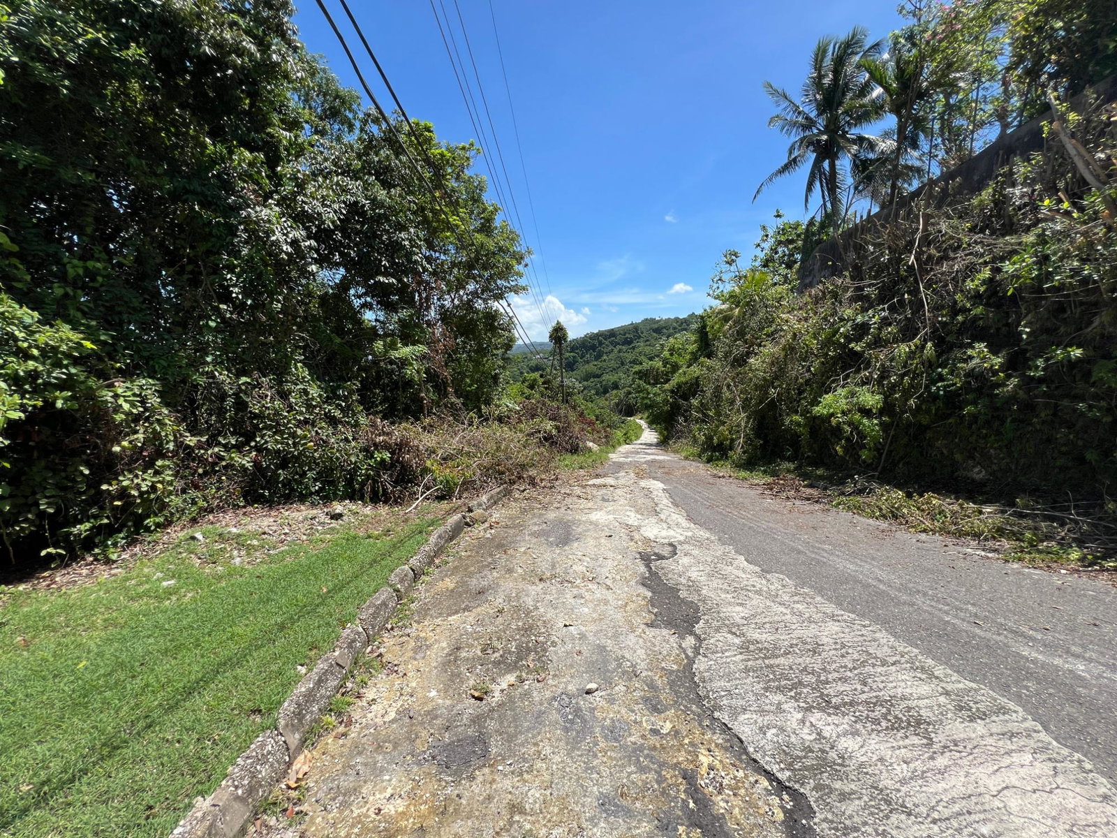Twenty-Fifth image of Lot 22 Clarridge Hall in Spring Garden, St. James, Jamaica - property is For Sale