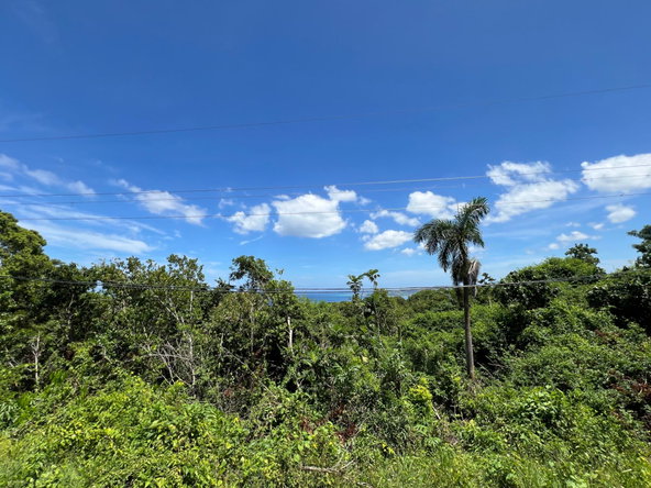 Twenty-First image of Lot 17 Clarridge Hall in Spring Garden, St. James, Jamaica - property is For Sale