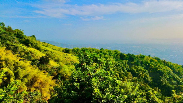 Fourth image of 9b Mulberry Avenue , Jacks h in Kingston 6, St. Andrew, Jamaica - property is For Sale