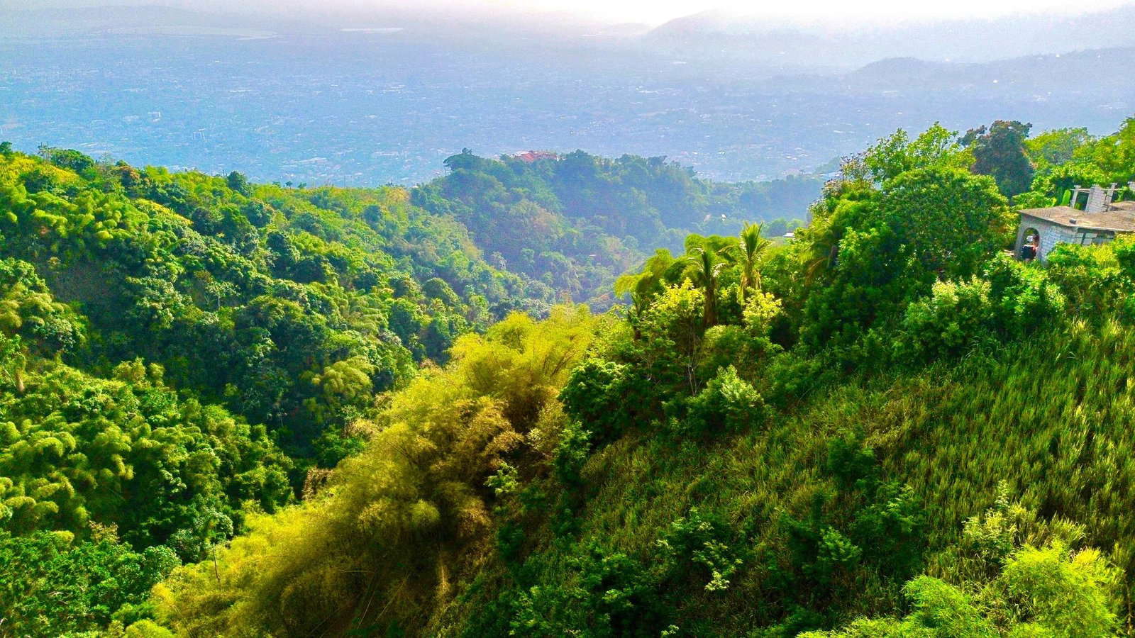 Fifth image of 9b Mulberry Avenue , Jacks h in Kingston 6, St. Andrew, Jamaica - property is For Sale