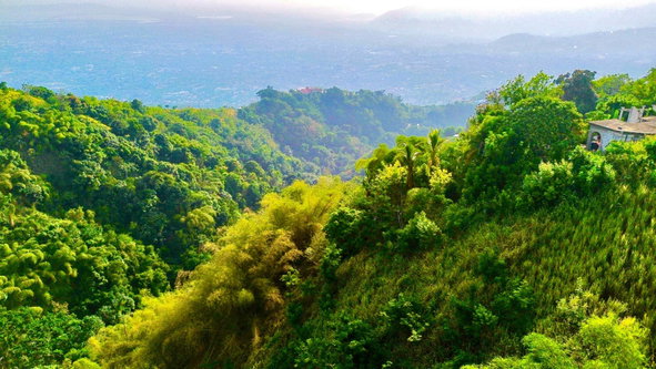 Fifth image of 9b Mulberry Avenue , Jacks h in Kingston 6, St. Andrew, Jamaica - property is For Sale