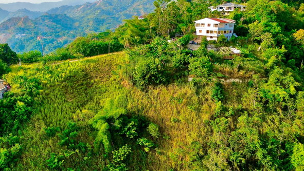 Sixth image of 9b Mulberry Avenue , Jacks h in Kingston 6, St. Andrew, Jamaica - property is For Sale
