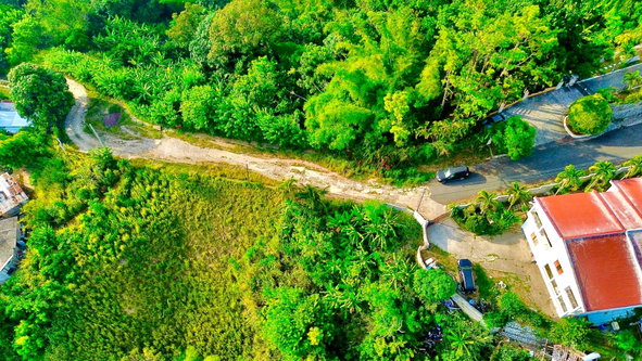 Ninth image of 9b Mulberry Avenue , Jacks h in Kingston 6, St. Andrew, Jamaica - property is For Sale