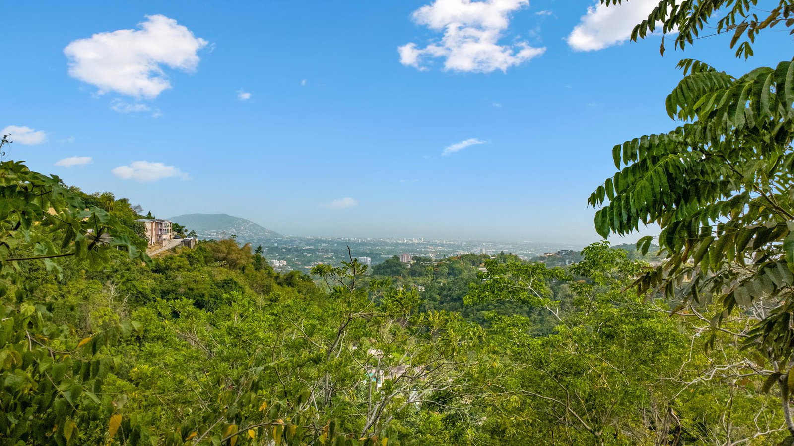 Seventh image of 24 Mount Royal Close in Kingston 9, St. Andrew, Jamaica - property is For Sale