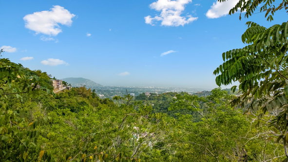 Seventh image of 24 Mount Royal Close in Kingston 9, St. Andrew, Jamaica - property is For Sale