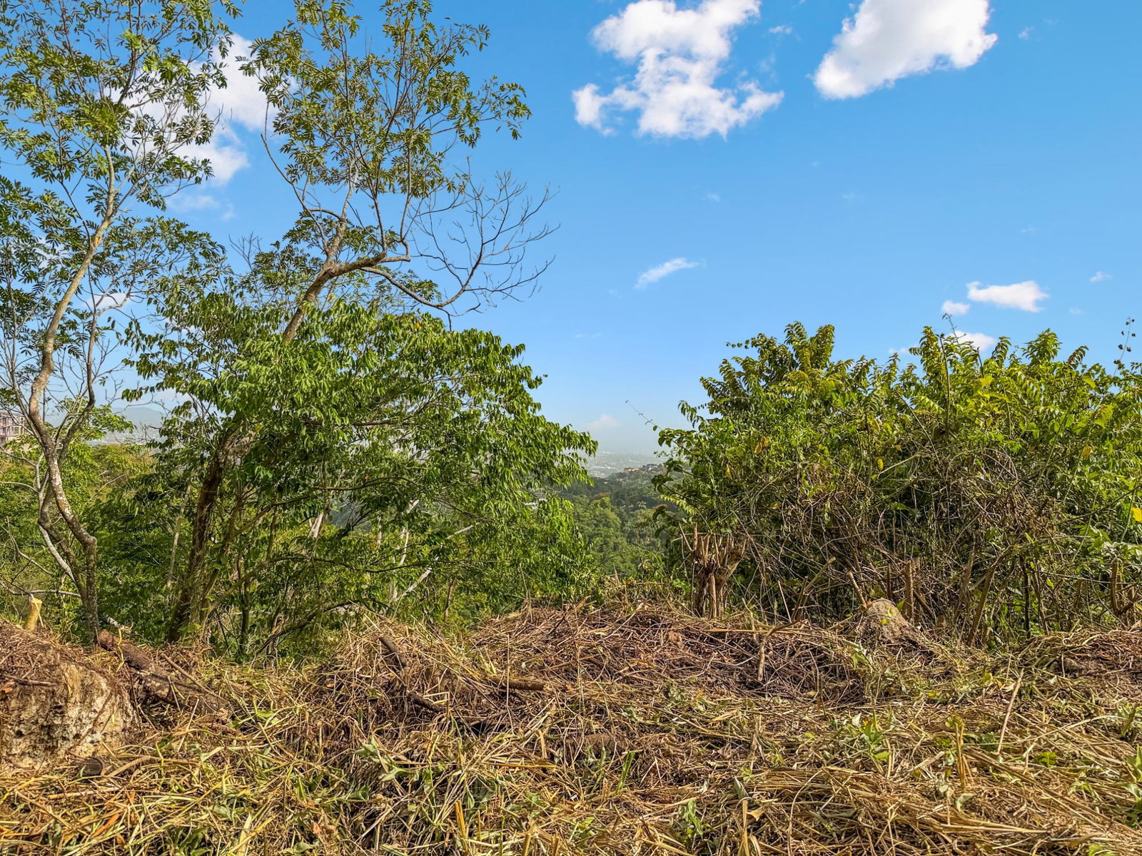 Eighth image of 24 Mount Royal Close in Kingston 9, St. Andrew, Jamaica - property is For Sale