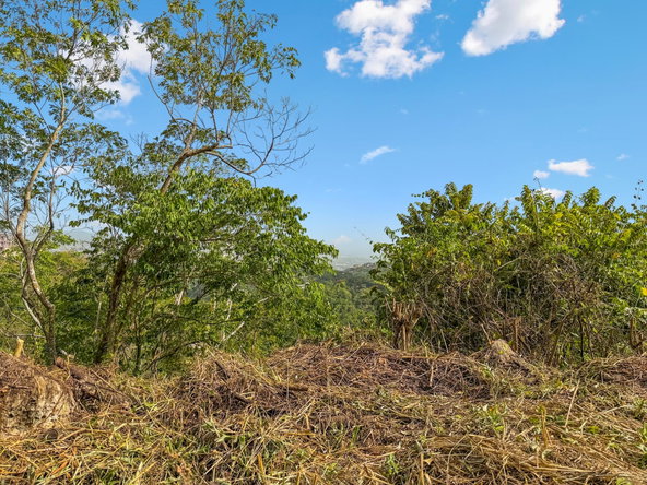 Eighth image of 24 Mount Royal Close in Kingston 9, St. Andrew, Jamaica - property is For Sale