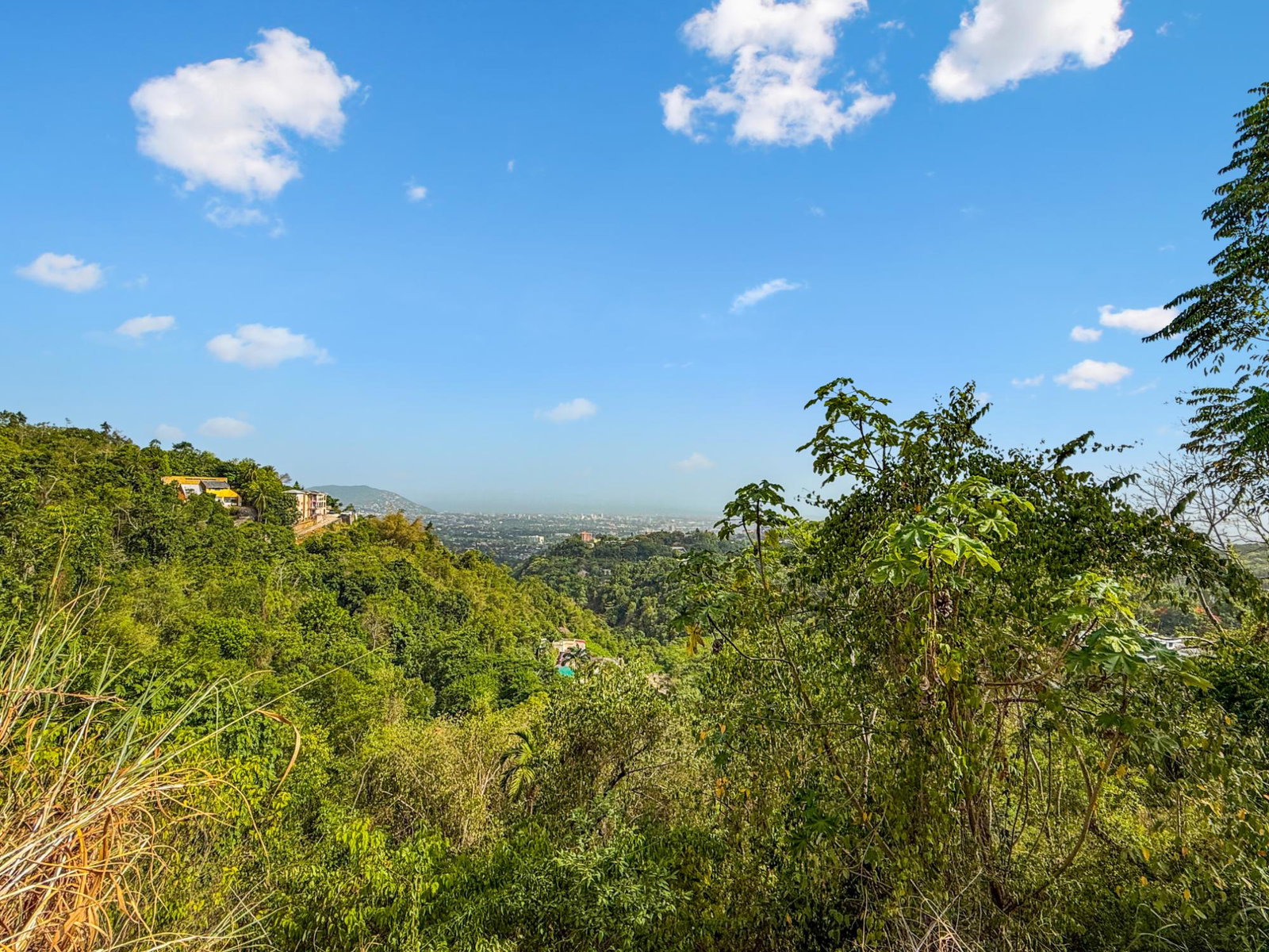 Ninth image of 24 Mount Royal Close in Kingston 9, St. Andrew, Jamaica - property is For Sale