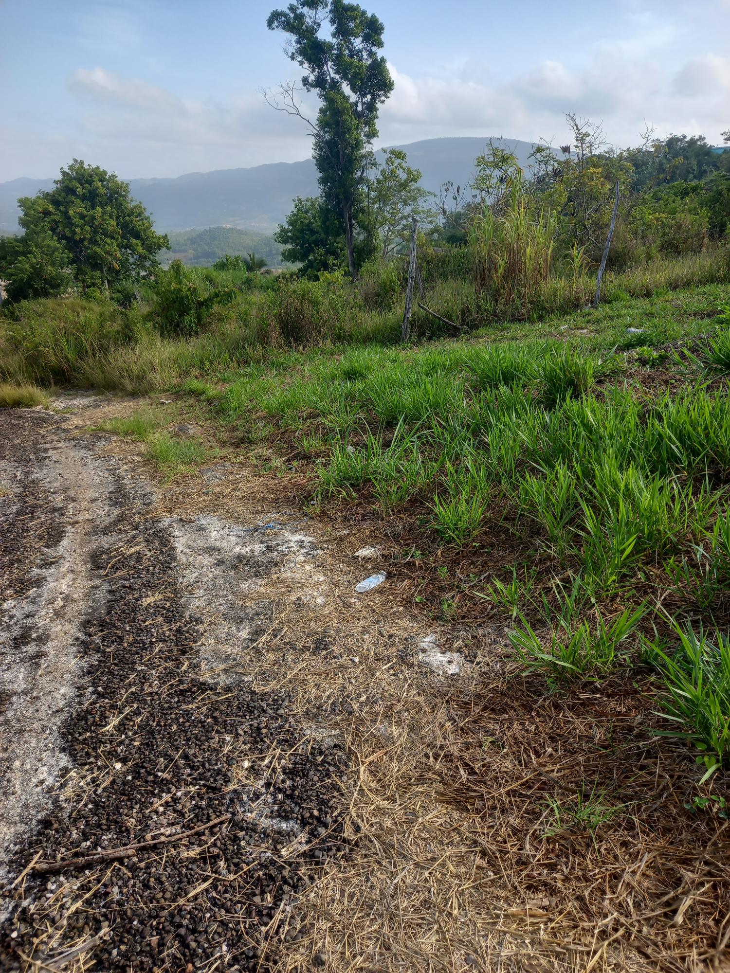 Second image of Lot 9-8 Clarkes Town Road in Mandeville, Manchester, Jamaica - property is For Sale