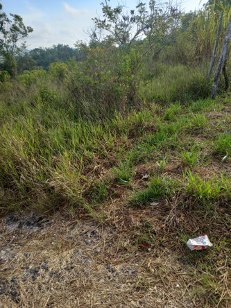 Third image of Lot 9-8 Clarkes Town Road in Mandeville, Manchester, Jamaica - property is For Sale