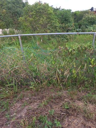 Second image of 65c Brokenhurst in Old England, Manchester, Jamaica - property is For Sale