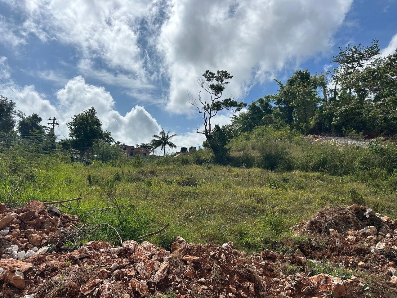 Second image of Hillside Manchester in Albion, Manchester, Jamaica - property is For Sale