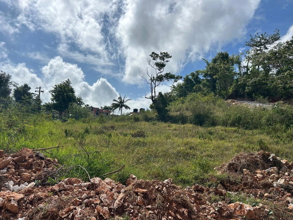 Second image of Hillside Manchester in Albion, Manchester, Jamaica - property is For Sale