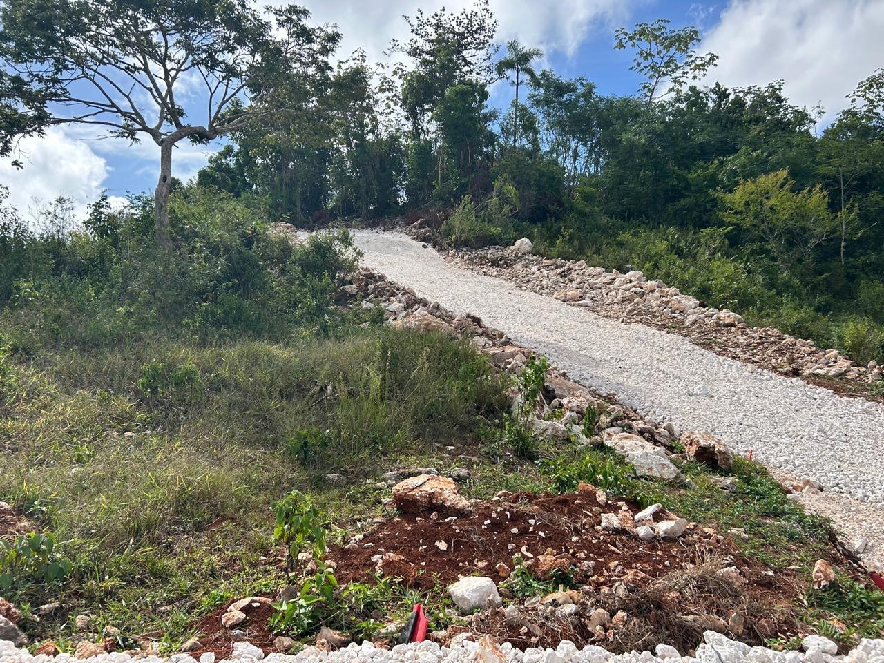 Third image of Hillside Manchester in Albion, Manchester, Jamaica - property is For Sale