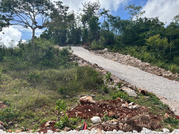 Third image of Hillside Manchester in Albion, Manchester, Jamaica - property is For Sale