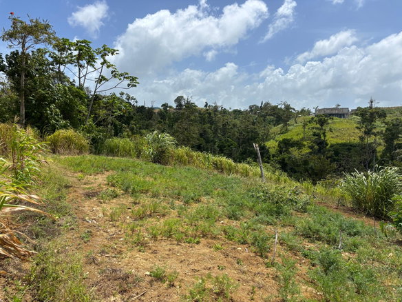 First image of Free Hill Road in Bamboo, St. Ann, Jamaica - property is For Sale