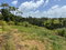 First image of Free Hill Road in Bamboo, St. Ann, Jamaica - property is For Sale