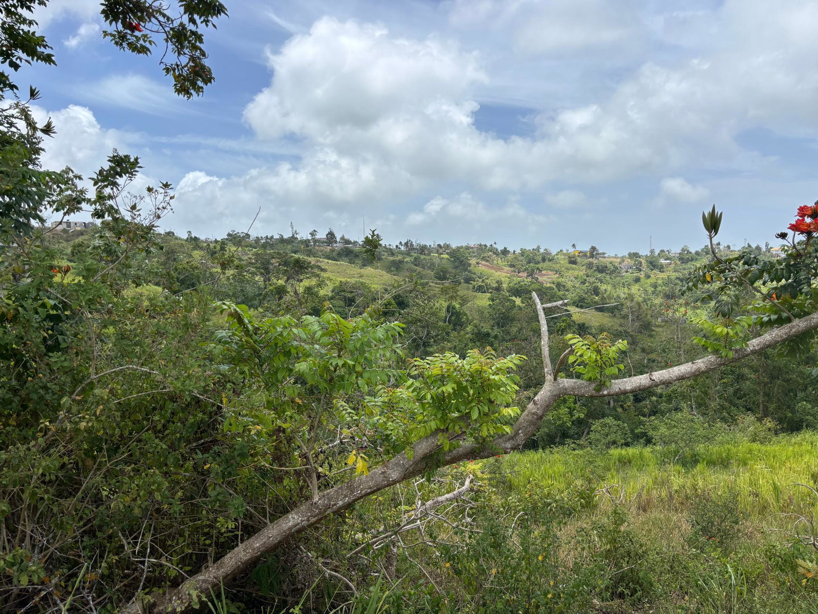 Tenth image of Free Hill Road in Bamboo, St. Ann, Jamaica - property is For Sale