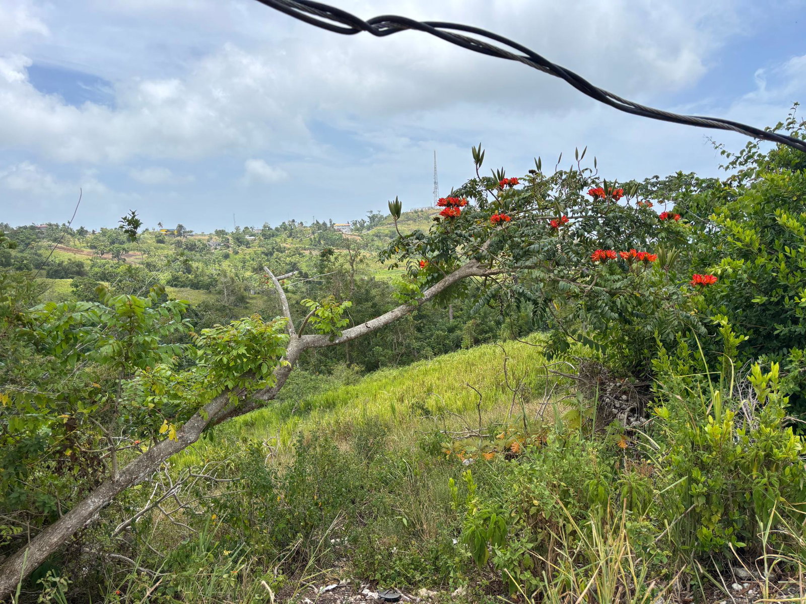 Eleventh image of Free Hill Road in Bamboo, St. Ann, Jamaica - property is For Sale