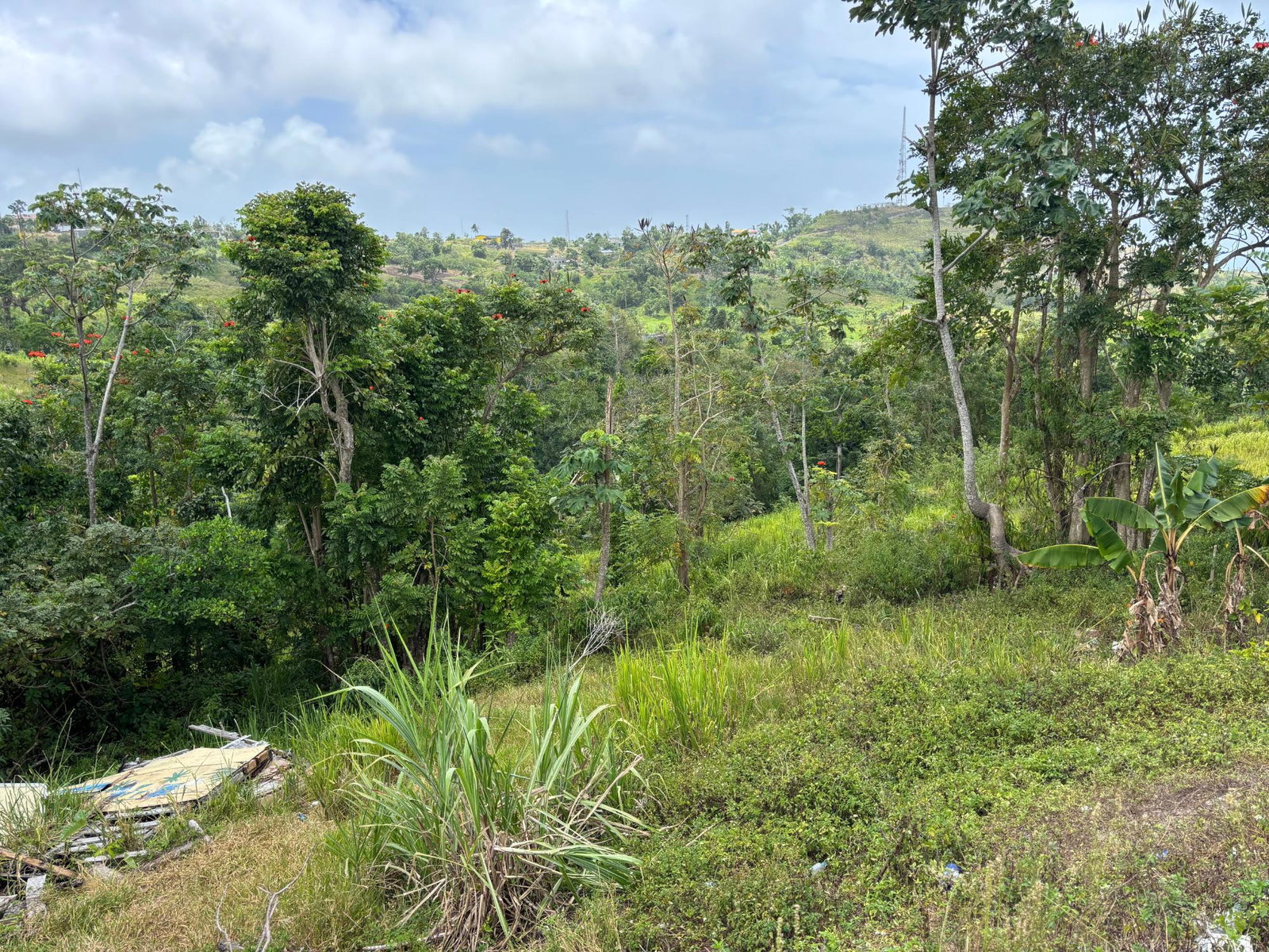 Twelfth image of Free Hill Road in Bamboo, St. Ann, Jamaica - property is For Sale