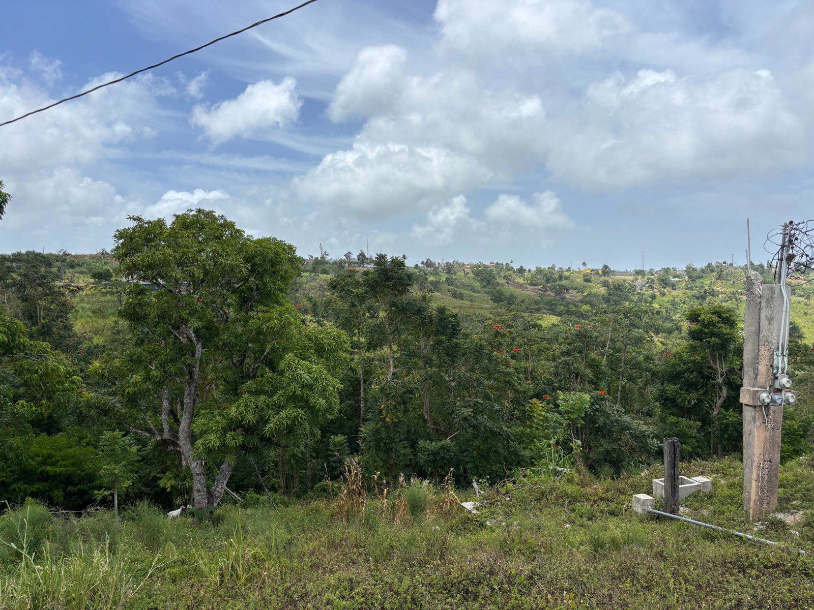 Thirteenth image of Free Hill Road in Bamboo, St. Ann, Jamaica - property is For Sale