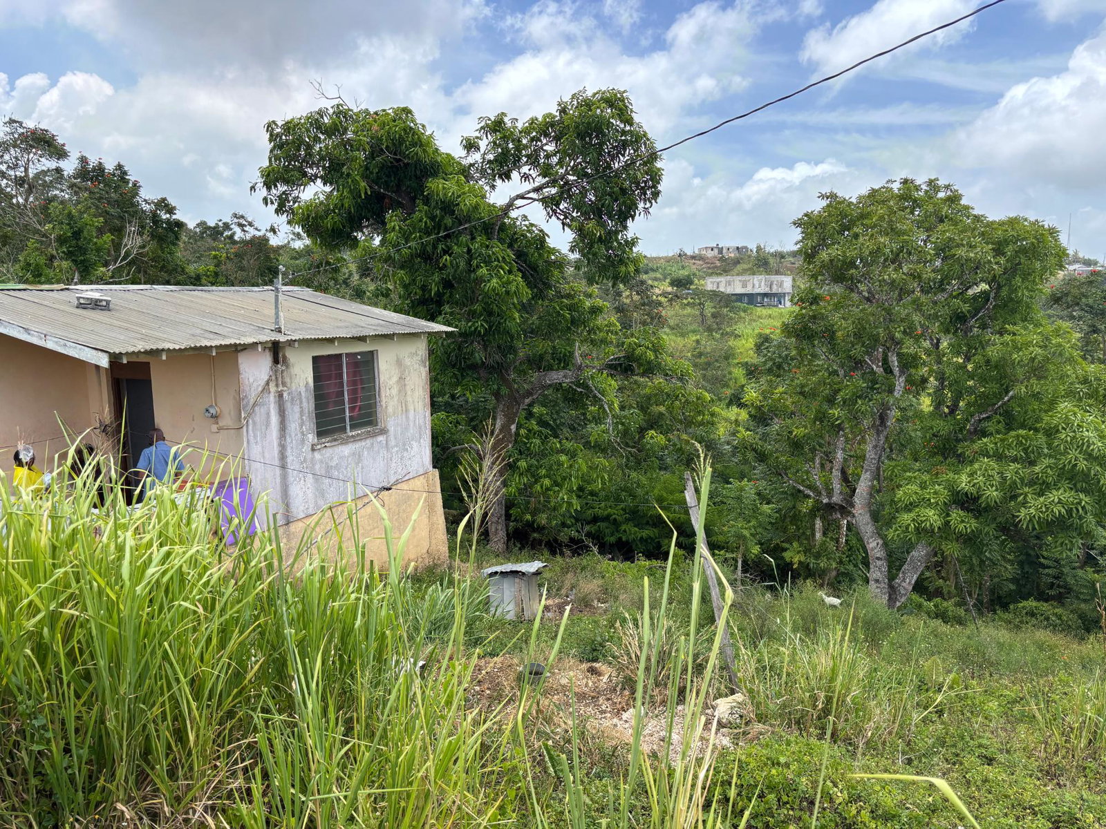 Fourteenth image of Free Hill Road in Bamboo, St. Ann, Jamaica - property is For Sale
