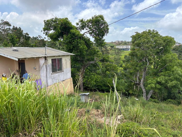 Fourteenth image of Free Hill Road in Bamboo, St. Ann, Jamaica - property is For Sale