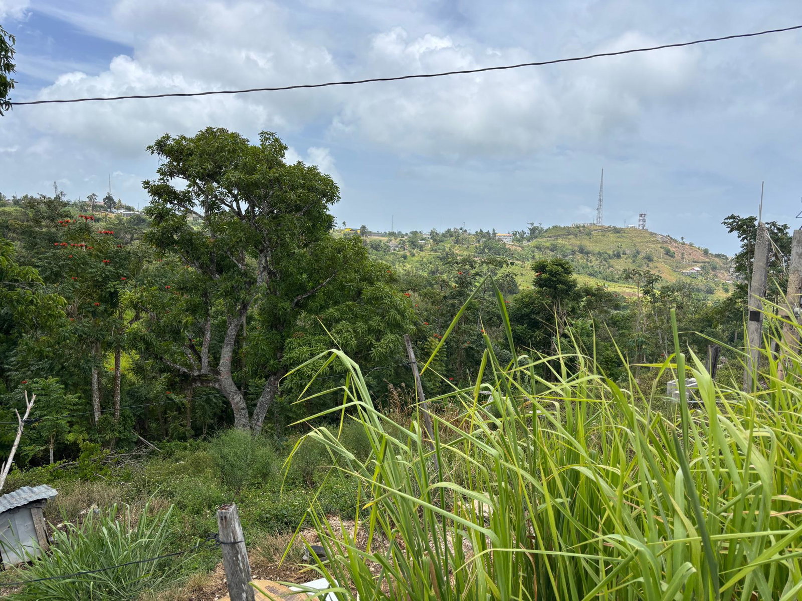 Fifteenth image of Free Hill Road in Bamboo, St. Ann, Jamaica - property is For Sale