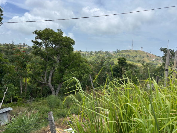 Fifteenth image of Free Hill Road in Bamboo, St. Ann, Jamaica - property is For Sale