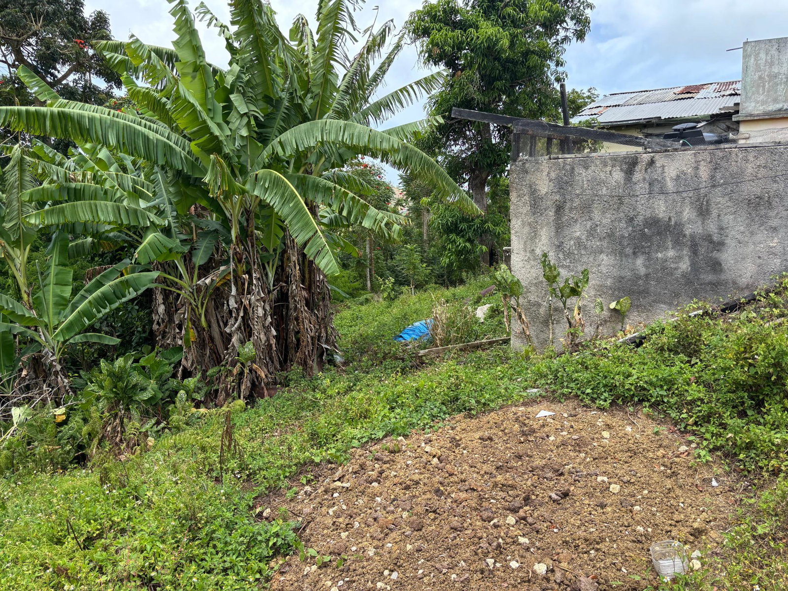 Sixteenth image of Free Hill Road in Bamboo, St. Ann, Jamaica - property is For Sale