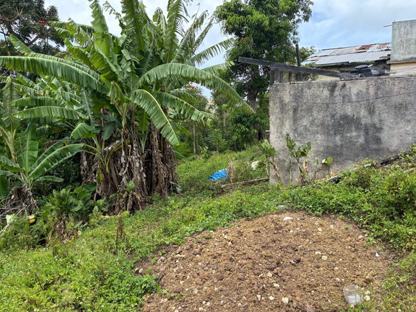 Sixteenth image of Free Hill Road in Bamboo, St. Ann, Jamaica - property is For Sale