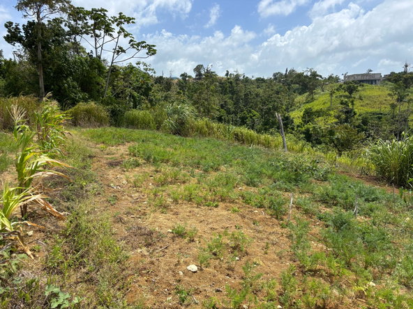 Second image of Free Hill Road in Bamboo, St. Ann, Jamaica - property is For Sale