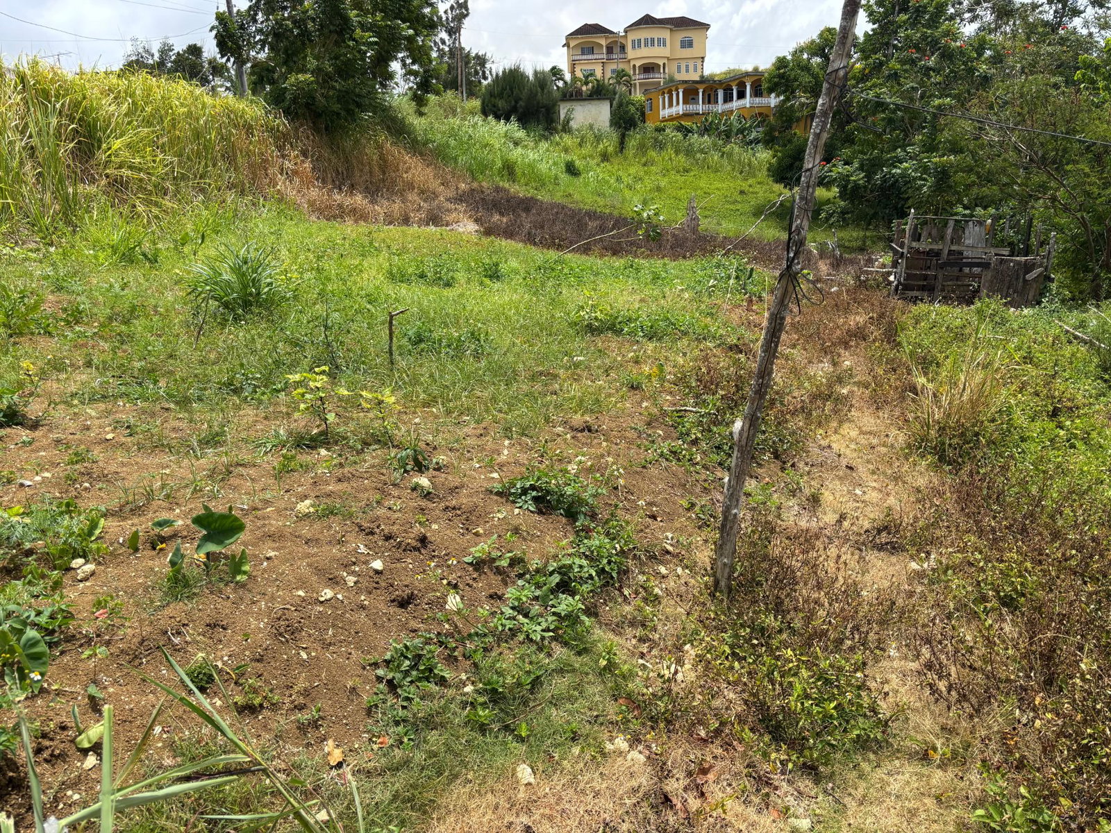 Twentieth image of Free Hill Road in Bamboo, St. Ann, Jamaica - property is For Sale