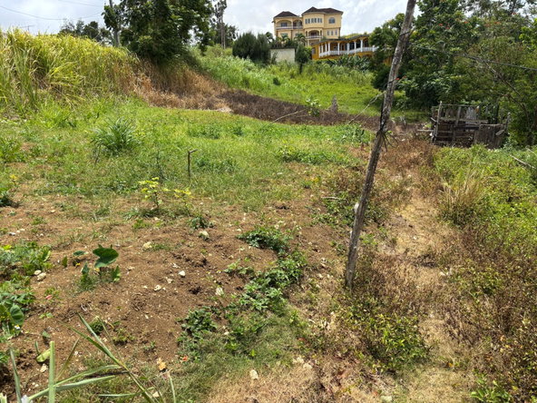 Twentieth image of Free Hill Road in Bamboo, St. Ann, Jamaica - property is For Sale