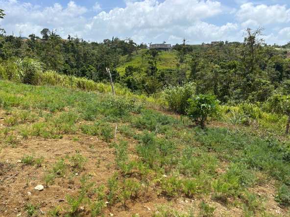 Third image of Free Hill Road in Bamboo, St. Ann, Jamaica - property is For Sale